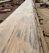 Ship Lauching Base Coat