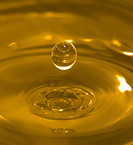 General Purpose Oil EA