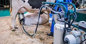 SPD Milking VP